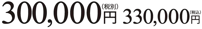 300,000円(税別) 330,000円(税込)